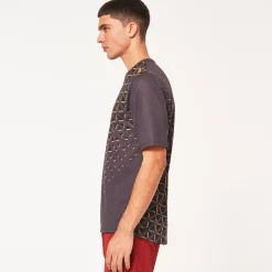 Fashion Flow Ss Jersey Herre T-Skjorter