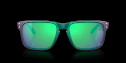 Shop Holbrook™ Troy Lee Designs Series Herre Livsstil