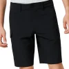 Hot Hybrid Cargo Herre Hybrid